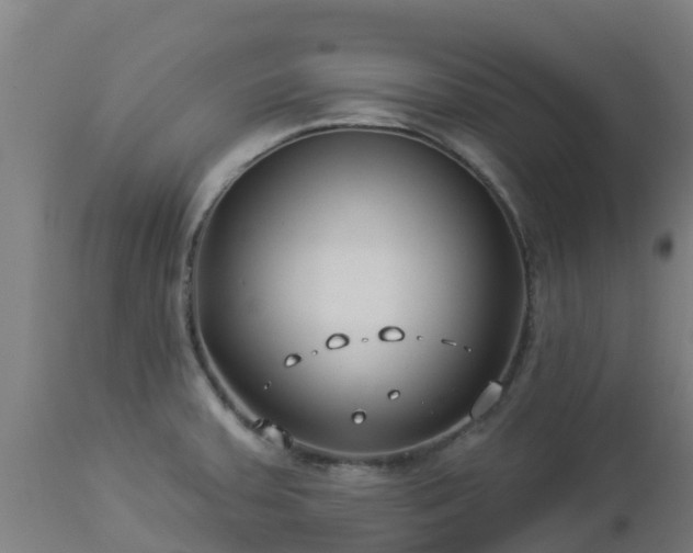 X0000112891379200908281650