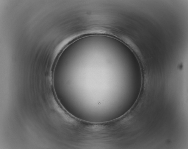 X0000112891380200908281650