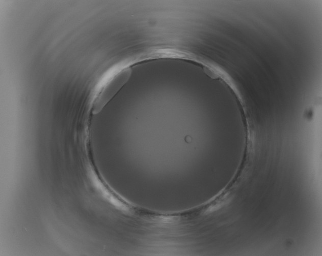 X0000112891381200908281650