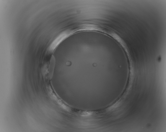 X0000112891385200908281650