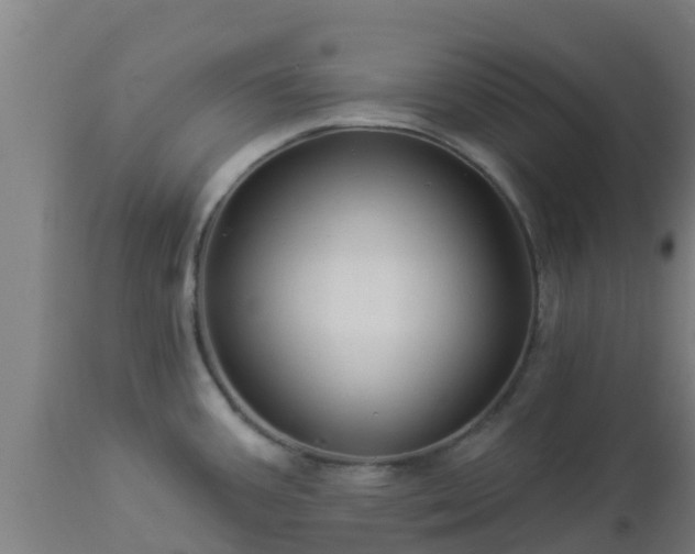 X0000112891387200908281650
