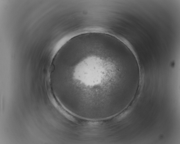X0000112891389200908281650