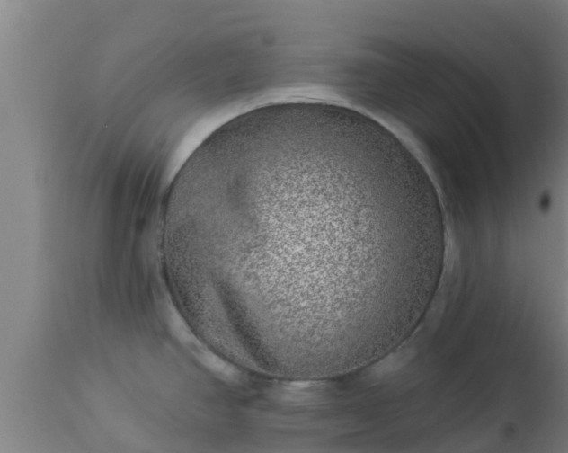 X0000112891390200908281650