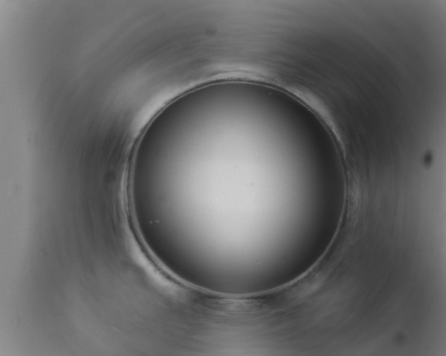 X0000112891391200908281650