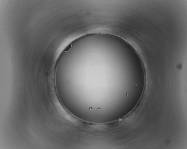X0000112891392200908281650