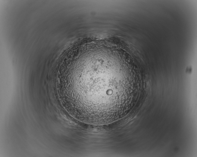 X0000112891393200908281650