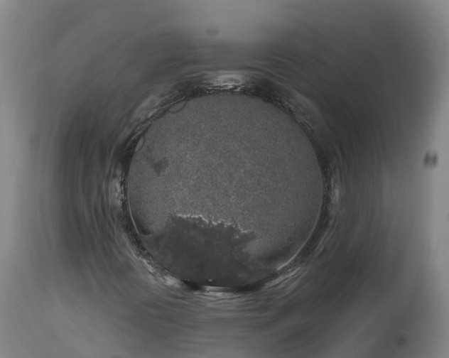 X0000112891394200908281650