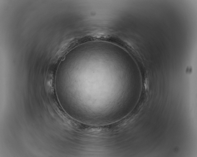 X0000112891396200908281650