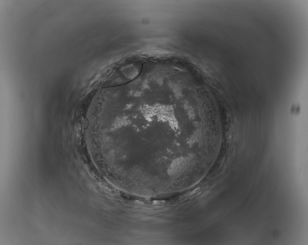 X0000112891397200908281650
