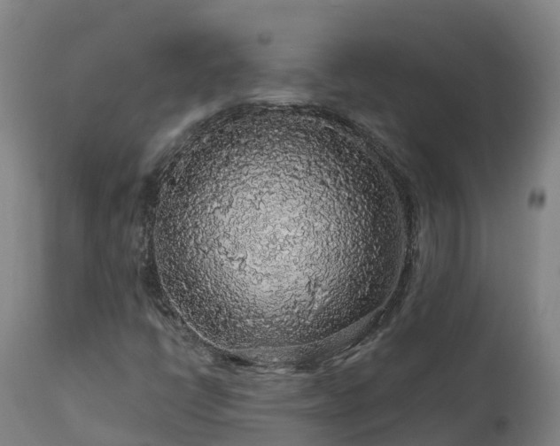 X0000112891398200908281650