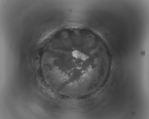 X0000112891399200908281650