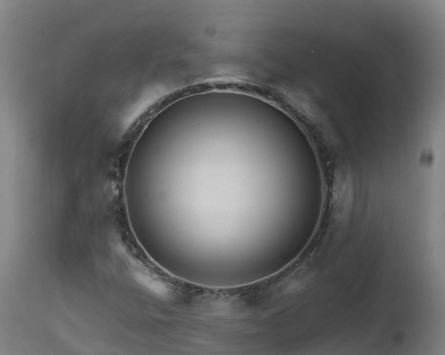 X0000112891400200908281650