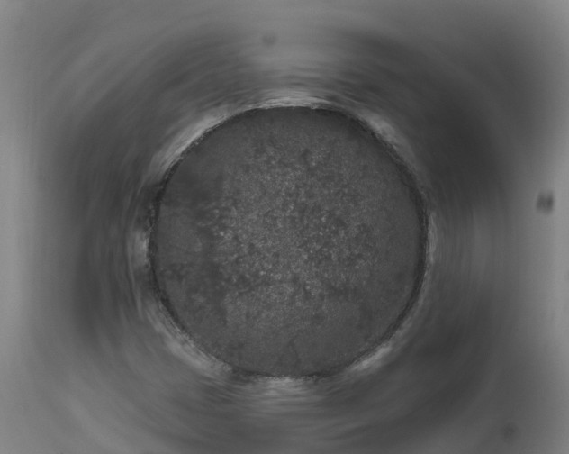 X0000112891401200908281650