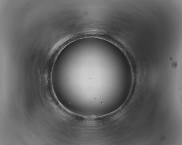 X0000112891402200908281650