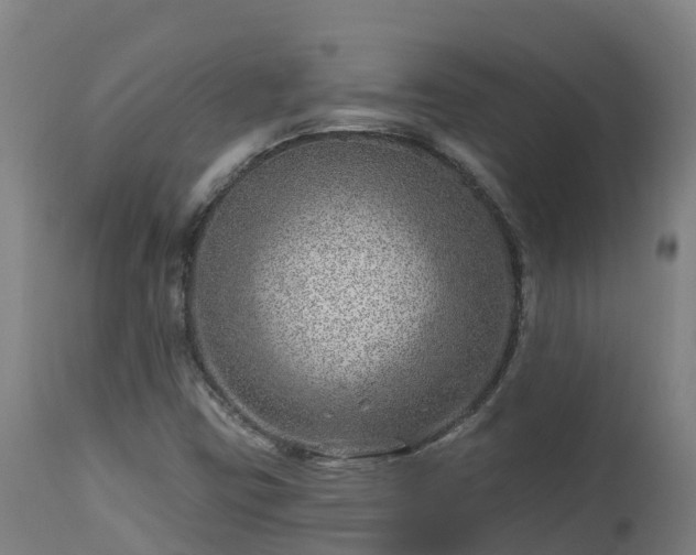 X0000112891403200908281650