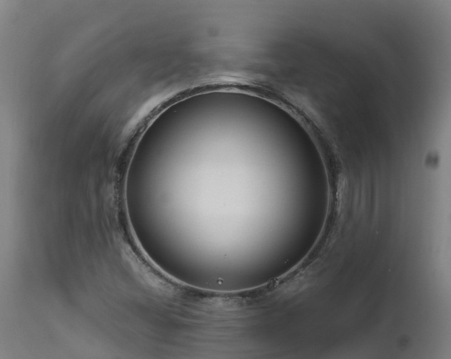 X0000112891404200908281650