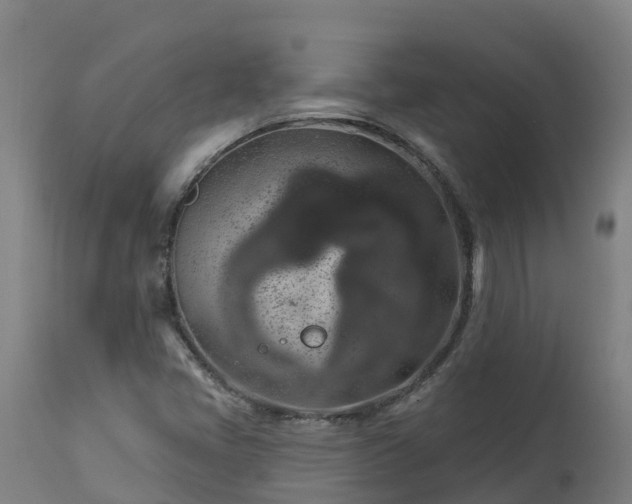 X0000112891405200908281650
