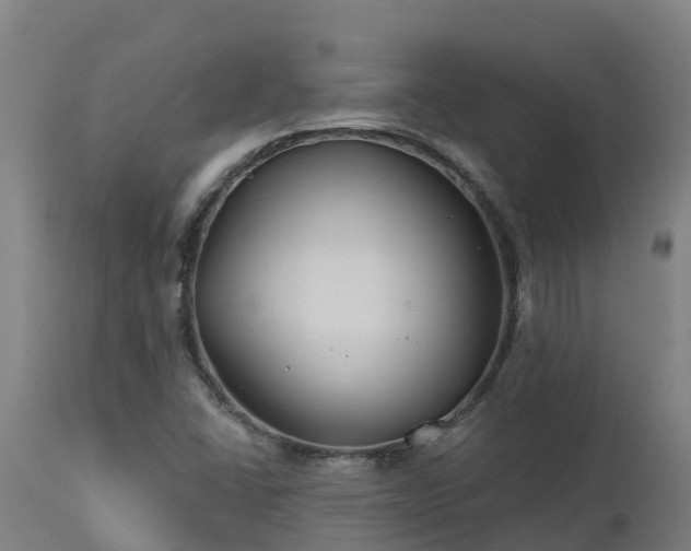 X0000112891406200908281650