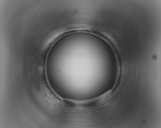 X0000112891407200908281650