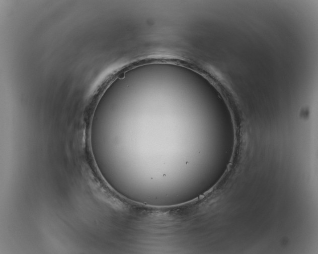 X0000112891408200908281650