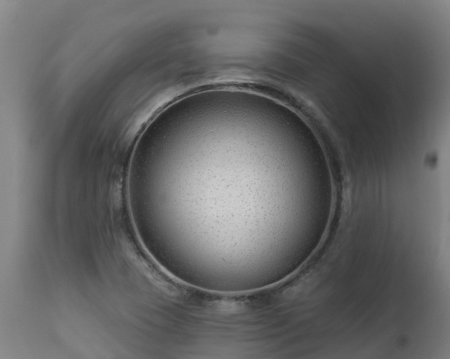 X0000112891409200908281650