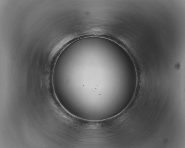 X0000112891410200908281650