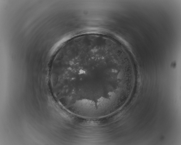 X0000112891411200908281650