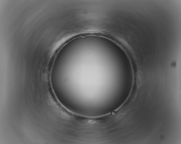 X0000112891412200908281650
