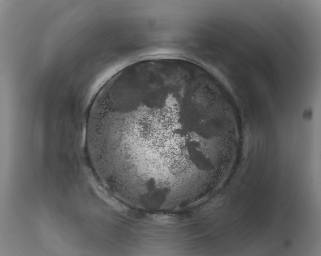 X0000112891413200908281650