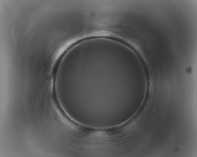 X0000112891414200908281650