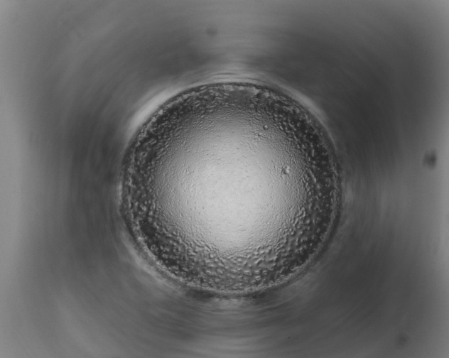 X0000112891415200908281650