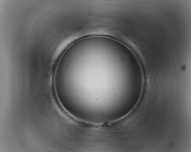 X0000112891416200908281650