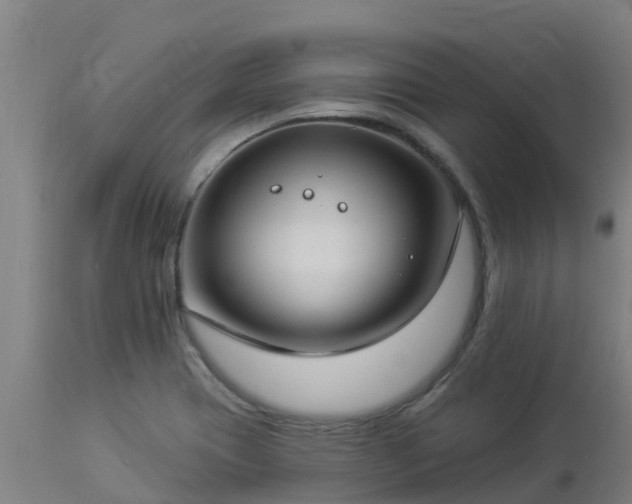 X0000112891417200908281650