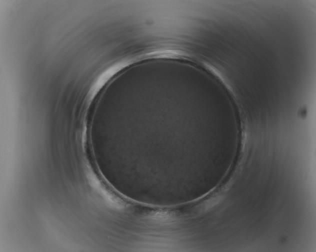 X0000112891418200908281650