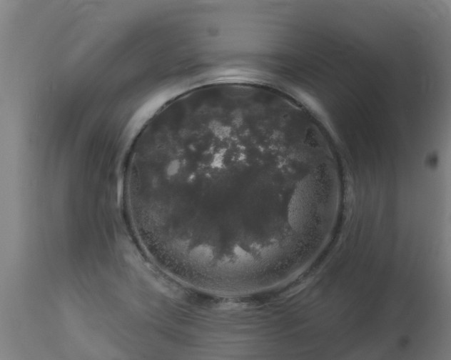 X0000112891419200908281650