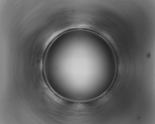 X0000112891420200908281650