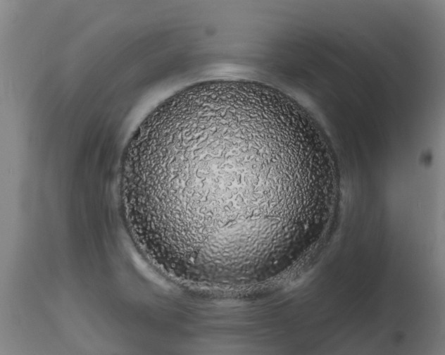 X0000112891421200908281650