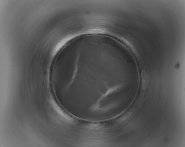 X0000112891422200908281650