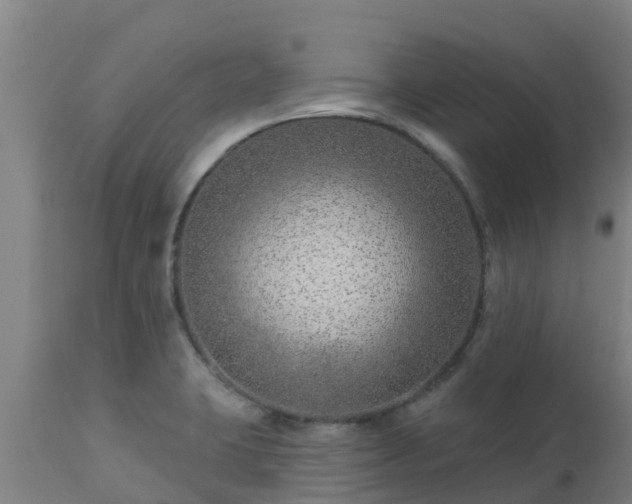 X0000112891423200908281650
