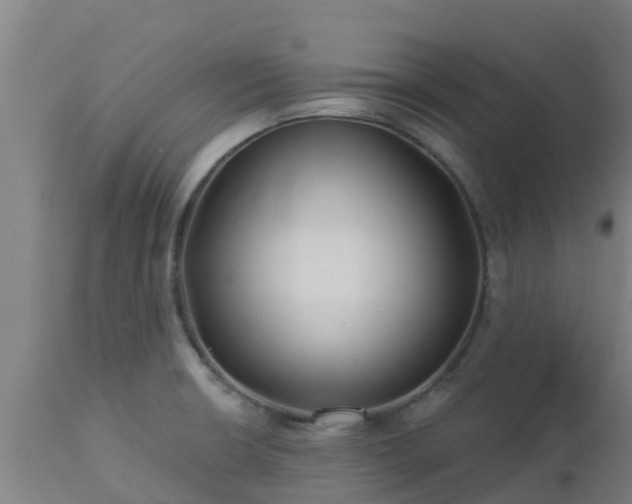 X0000112891426200908281650