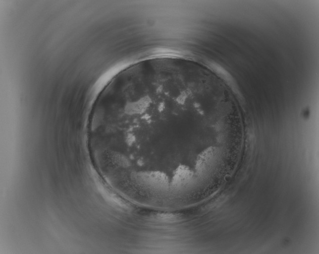 X0000112891427200908281650