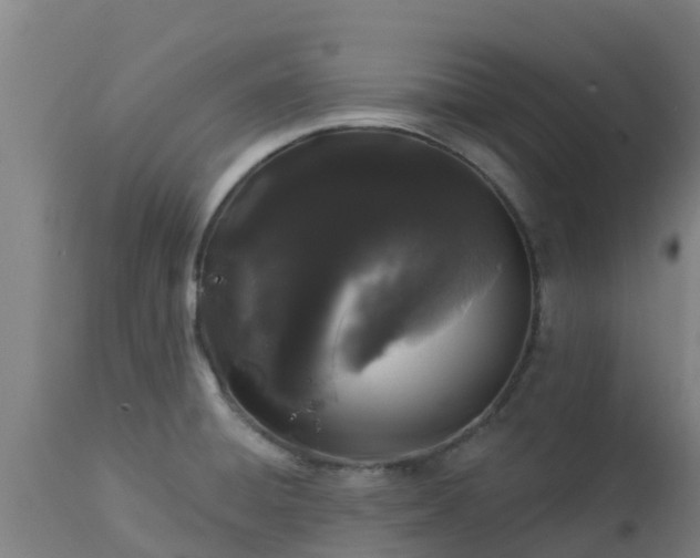X0000112891428200908281650