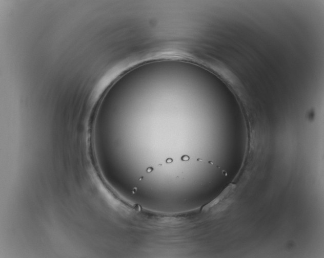 X0000112891430200908281650