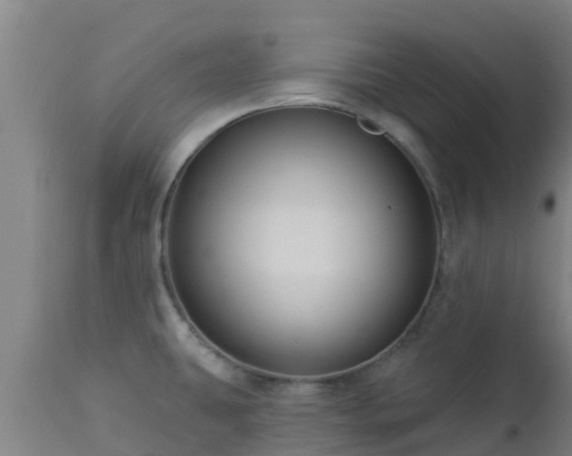 X0000112891431200908281650