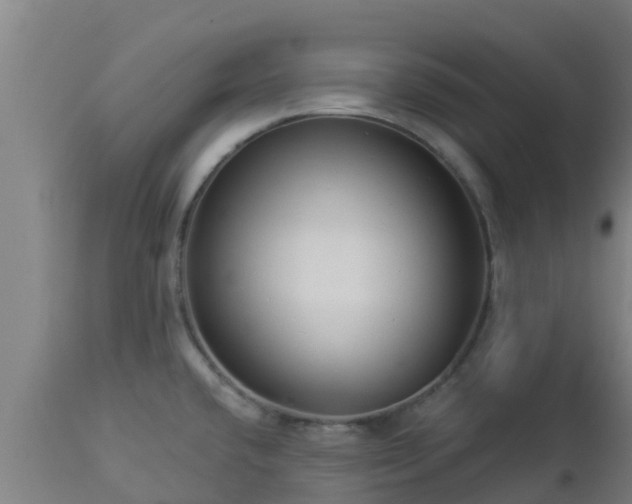 X0000112891432200908281650