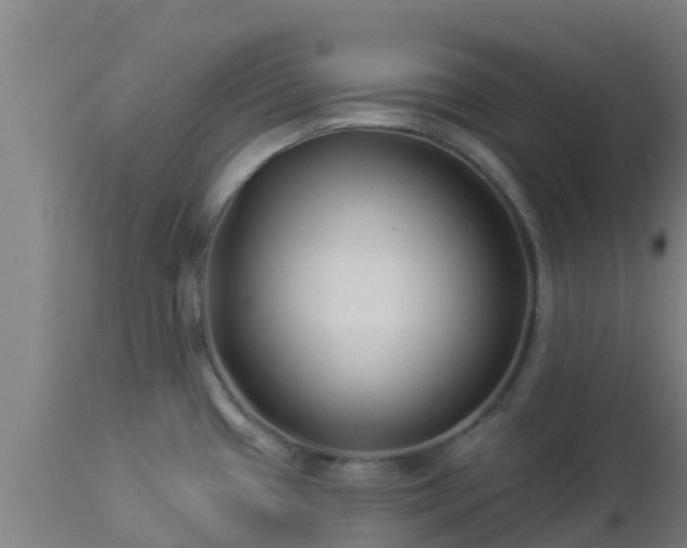 X0000112891433200908281650