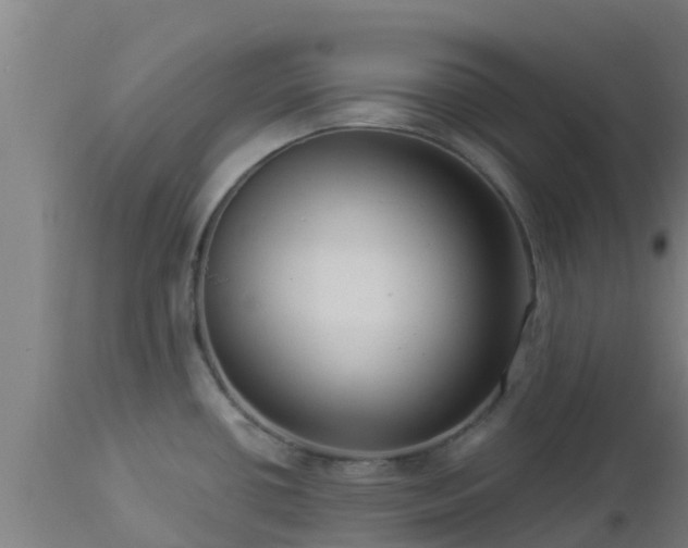 X0000112891434200908281650