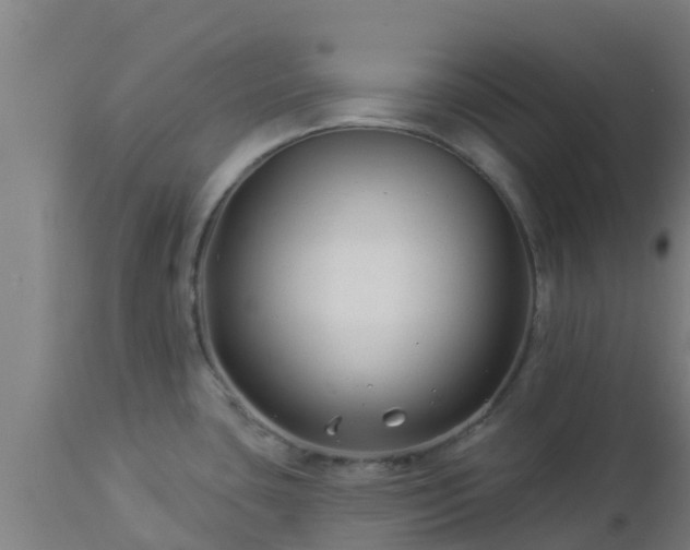 X0000112891435200908281650