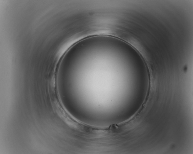 X0000112891436200908281650