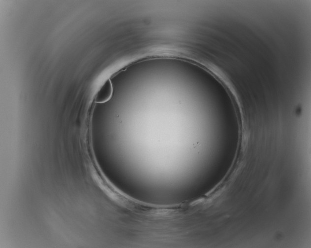 X0000112891437200908281650